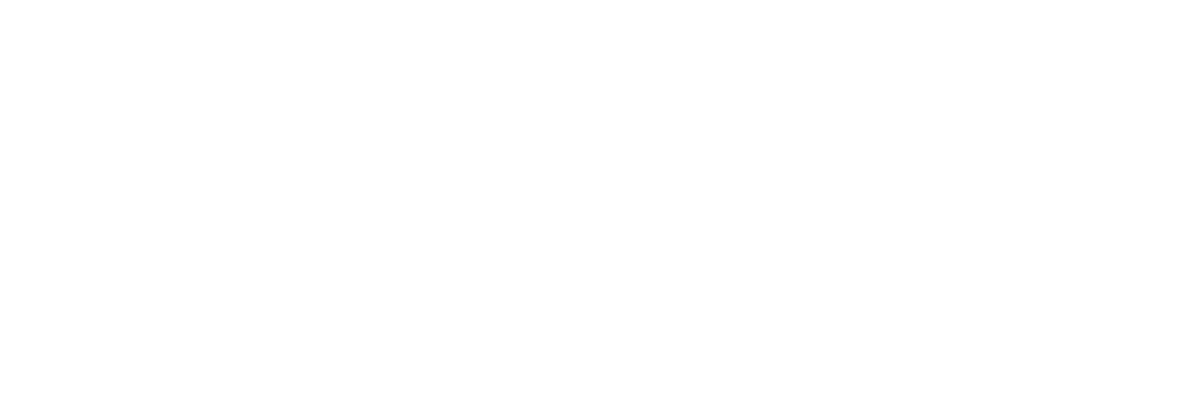仁和寺 × 東京カメラ部 青もみじライトアップ2019